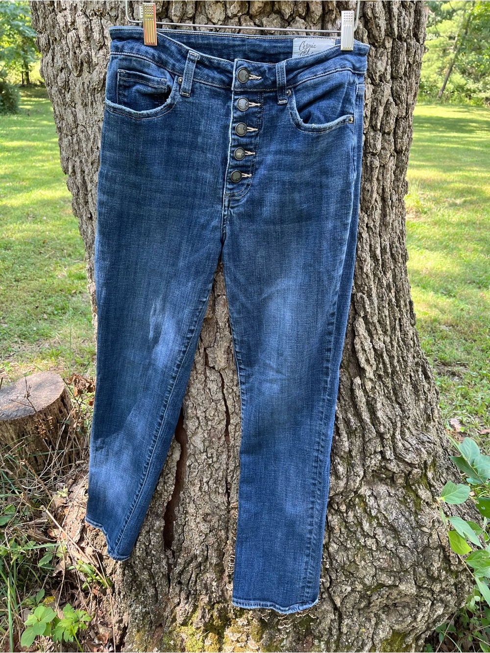 ⭐️Cosmic Blue Love Jeans in size 29
